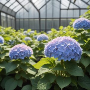 Гортензии саженцы с доставкой: цены в онлайн-магазинах питомников
